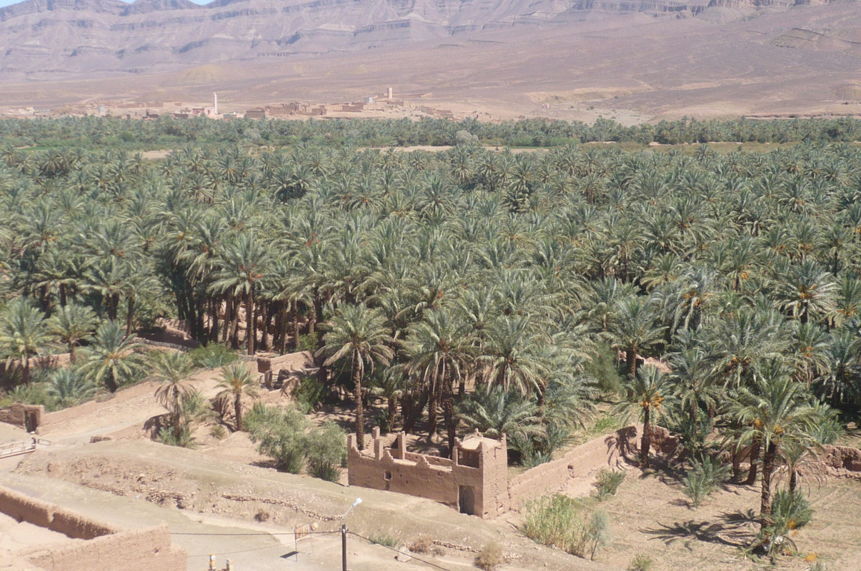 El palmeral de Tinzouline, Ouled Othmane y Taakilt - El Valle del Drâa, la gran arteria del sur de Marruecos (11)