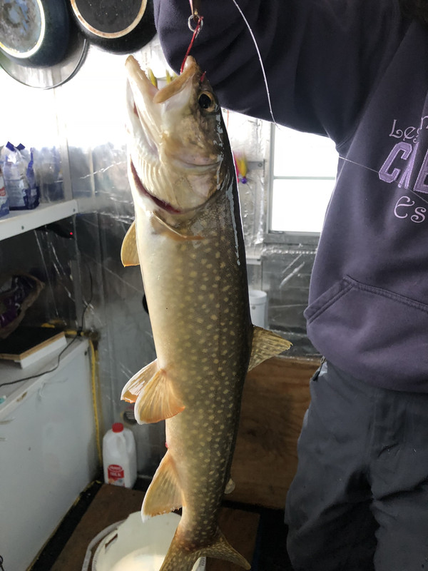 363715DB-445F-424F-B840-746DA55BB273