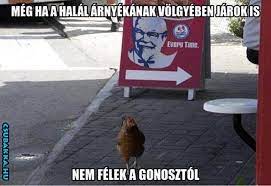 N-vtelen.jpg