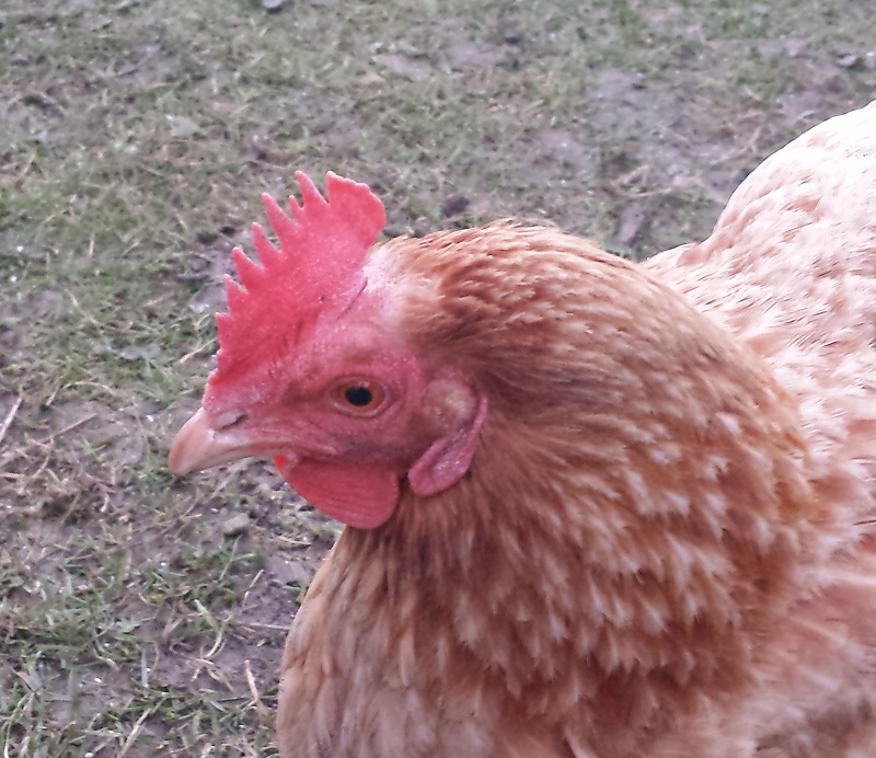 20220115_172138_forum