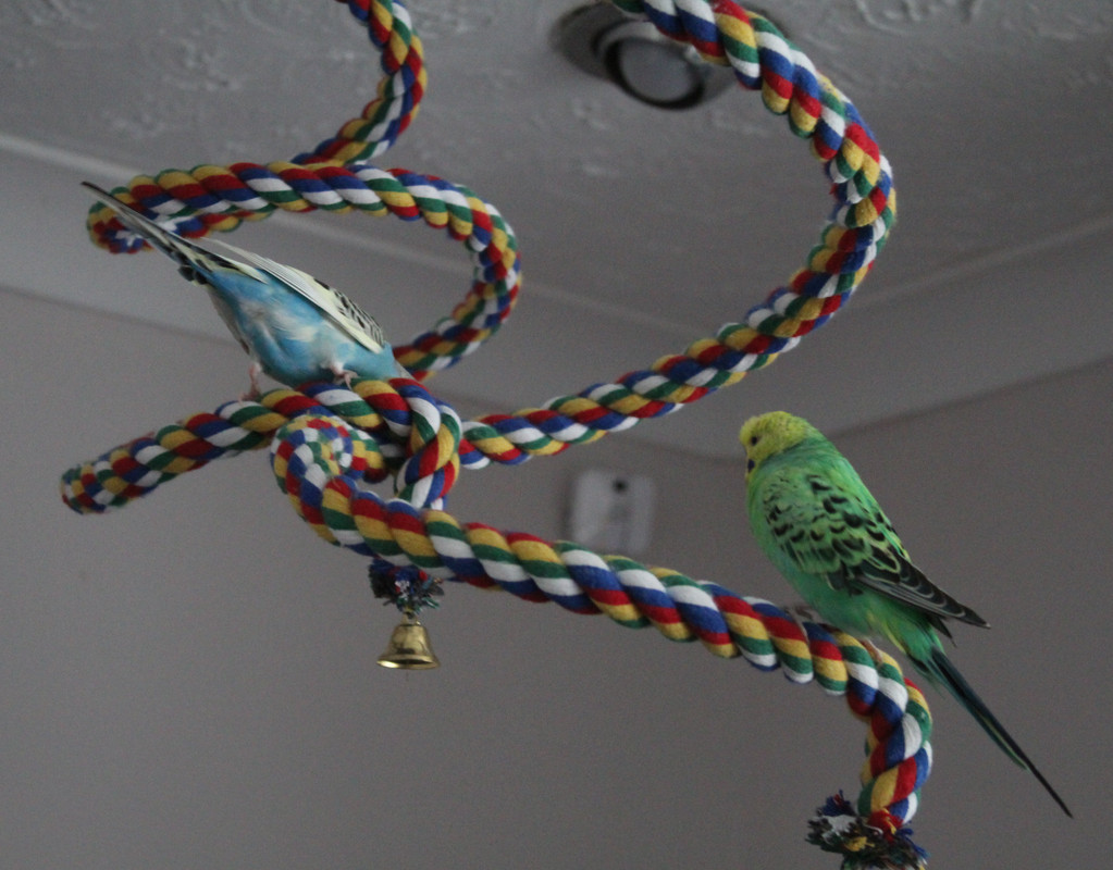 20230714144323 img 0435 — Postimages