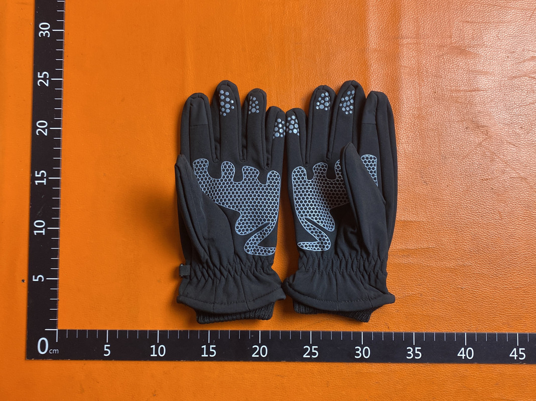 The North Face Gloves