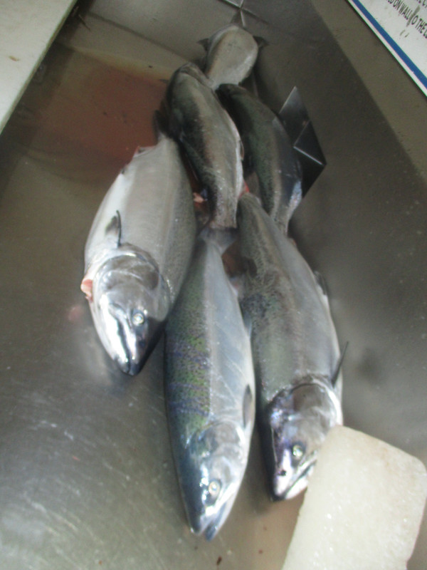 niagara bar loc spring challenge with harry 080