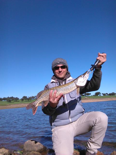 pike-3.jpg