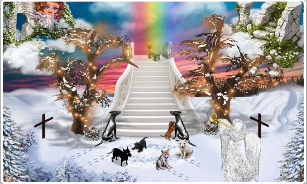 Screenshot 20260129 162616 Duck Duck Go 2