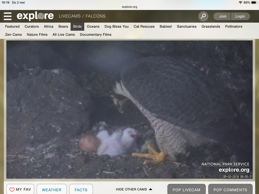 F3798901-EDB7-4DA2-95E4-651FCC6B59D0