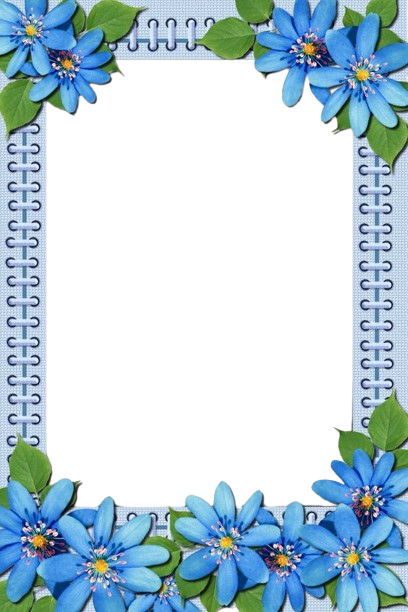 2f3f2608c12adc59bfd093346c1bc435-removeb