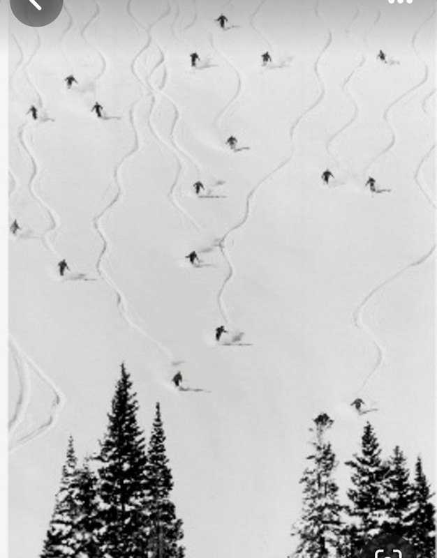 Screenshot_20240126_154041_Pinterest