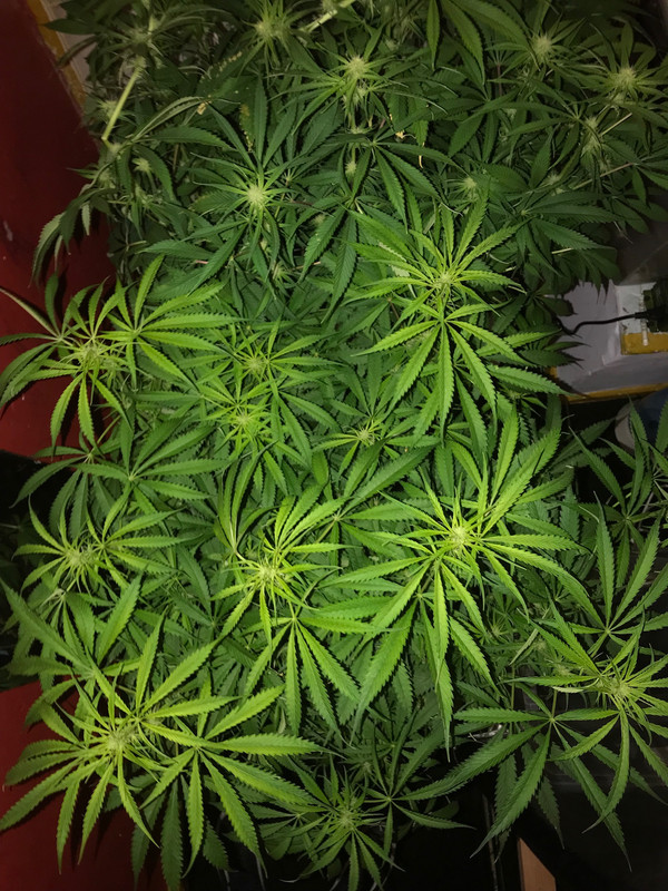 3C40E5F8-9A78-4D5A-BB99-1EA0D303F5F1