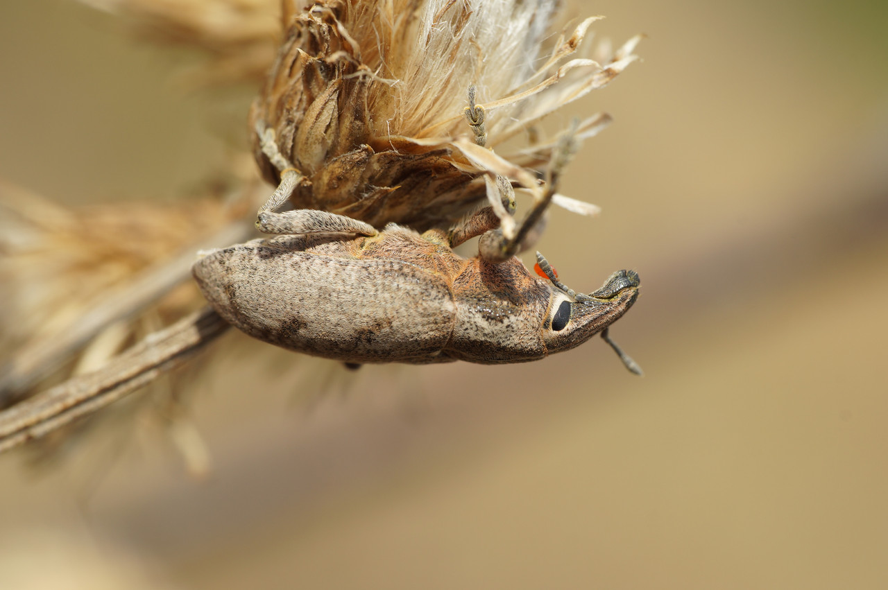 DSC05191