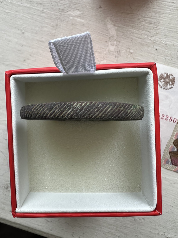 кольцевик (2)