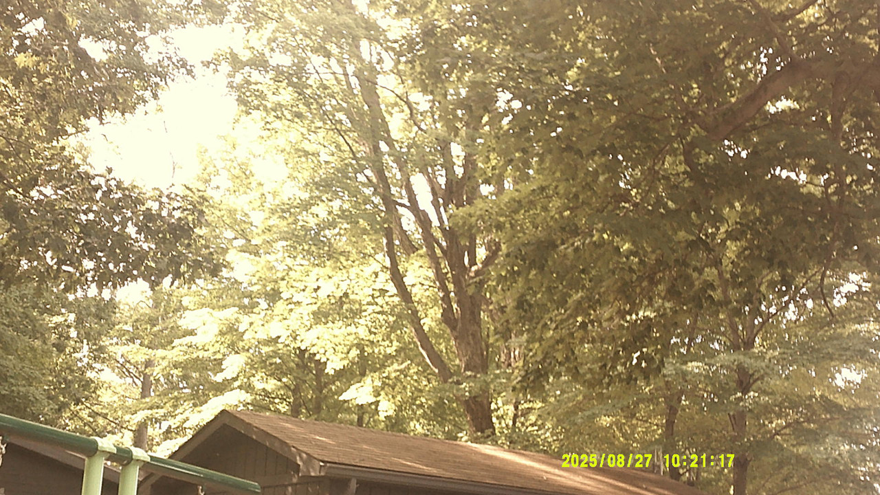 a green gradient