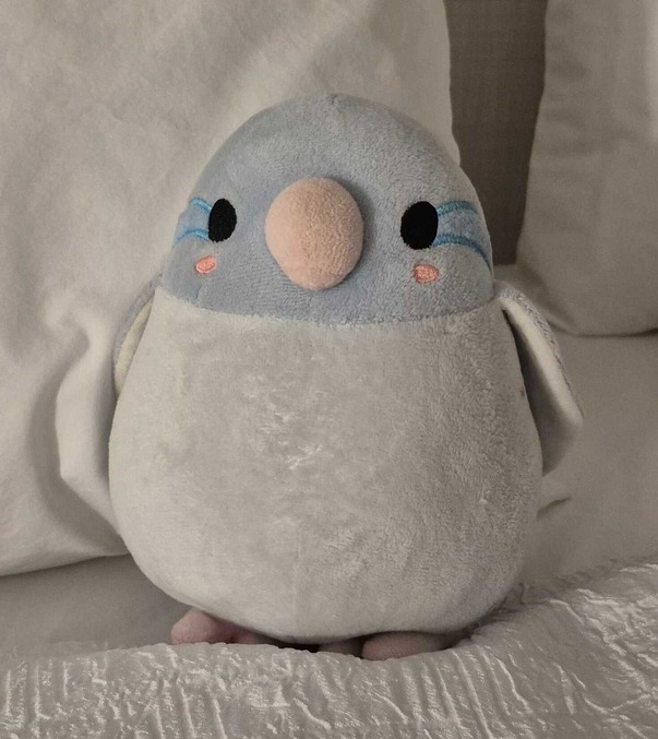 Peep the bird.” width=