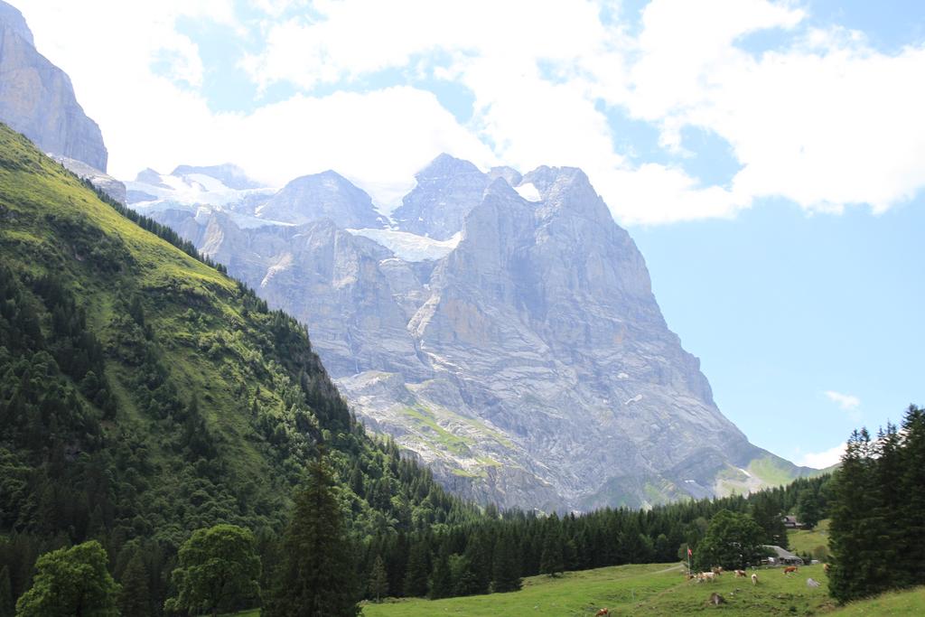CÓMO SUIZA NOS ATRAPA POR 5º VERANO CONSECUTIVO + CARENNAC Y LOUBRESSAC - Blogs de Suiza - ROSENLAUI: otra perspectiva del Eiger (4)
