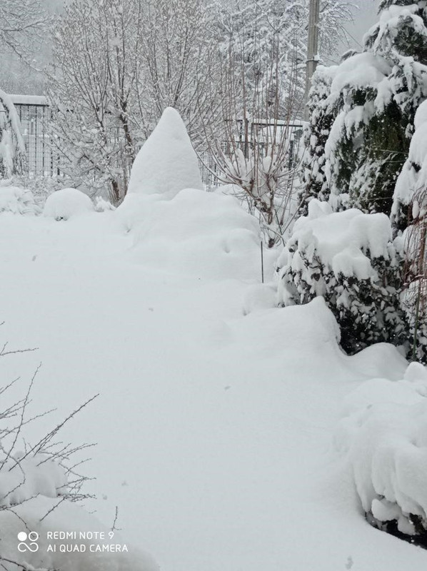 snow27 01