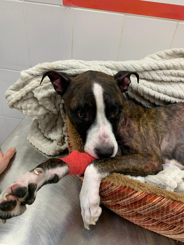 77A6E1D2-B982-417B-891D-EFDFFE0EF9D2