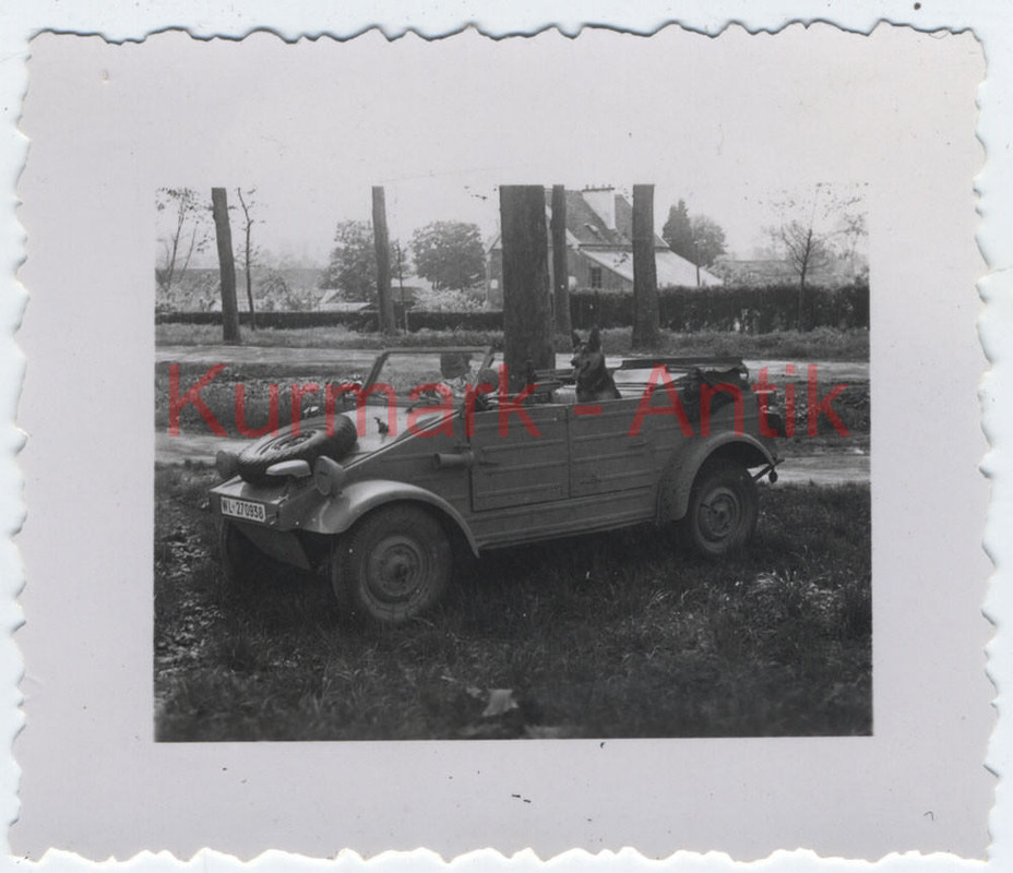 Foto Wehrmacht VW Kübel Typ82 Jeep mit Schäferhund dog