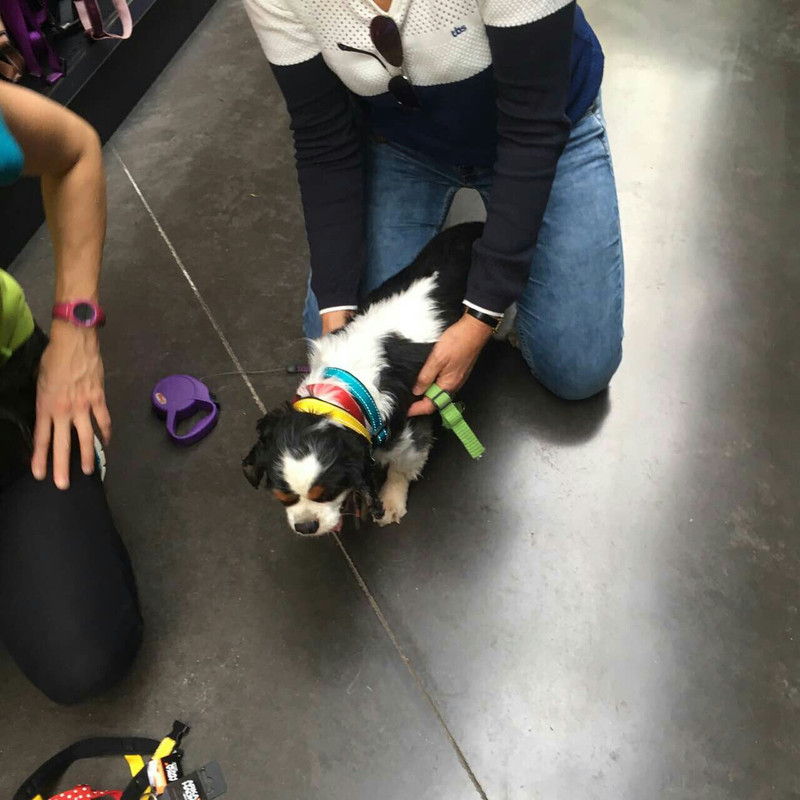 69F5D89D-1499-4069-82EF-57AF8B354255