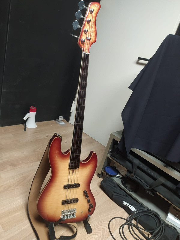 sire fretless