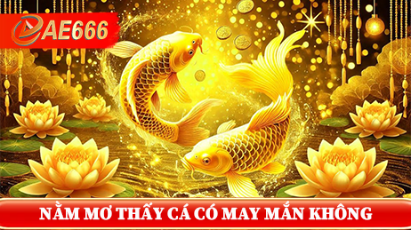 Nằm mơ thấy cá