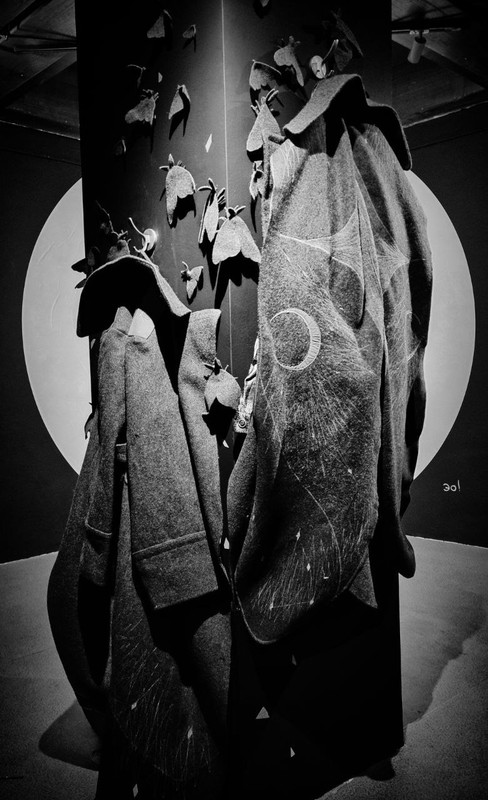 IMG_20250627_132228_300