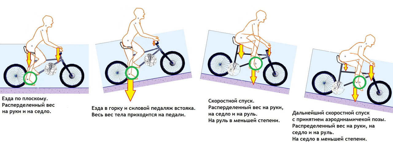 ротариньюфикс - копия (3)