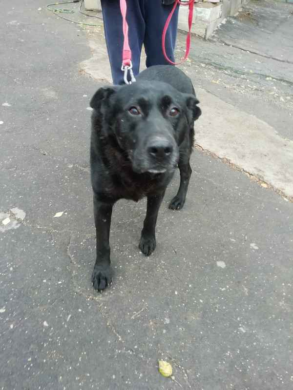 0AA481DB-EE2A-4E1F-8F01-CAE68165FBC9