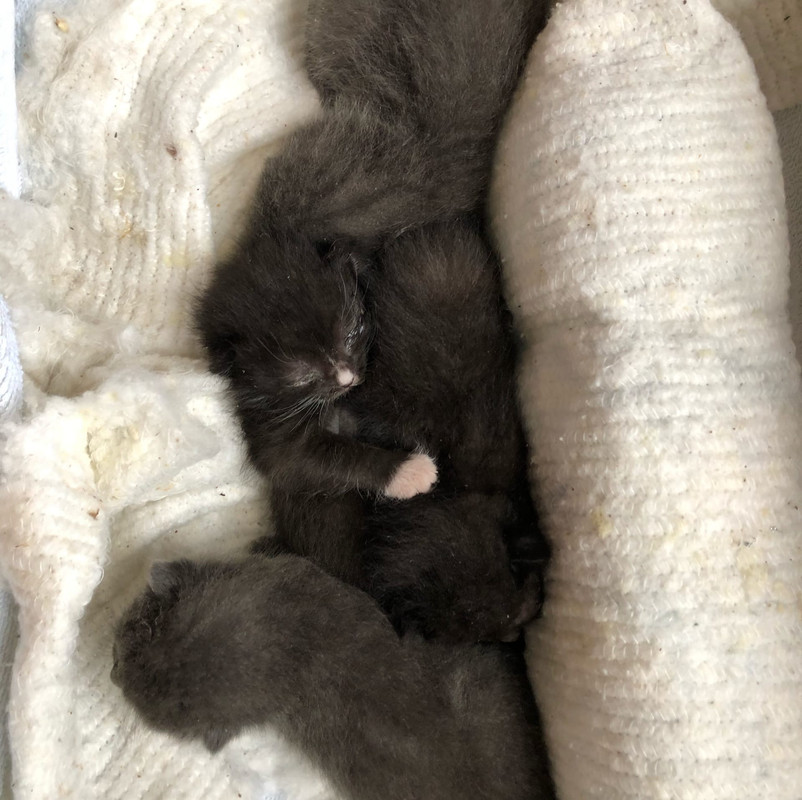 779AF985-E5B5-4E5F-AB09-AB2709A06C1B