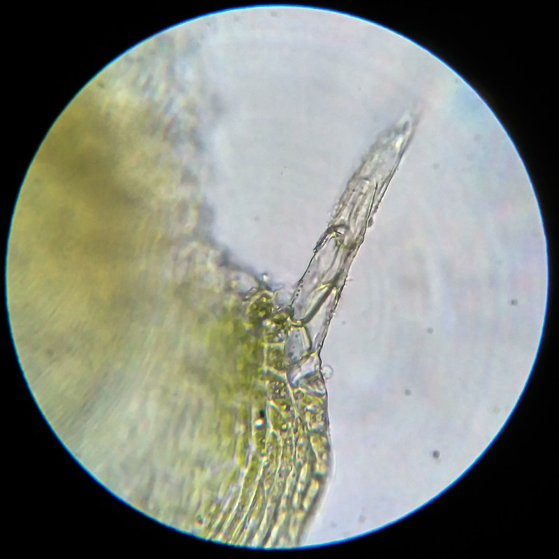 IMG 20250614 203357 HDR