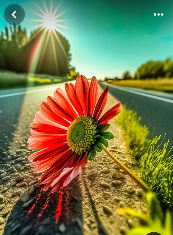 Screenshot_20240320_225255_Pinterest