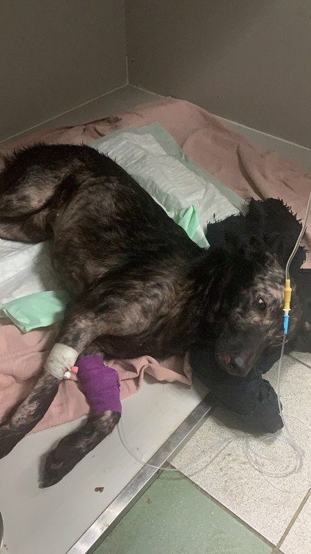 BF54C70F-1A44-4E97-8E32-22EABA401924