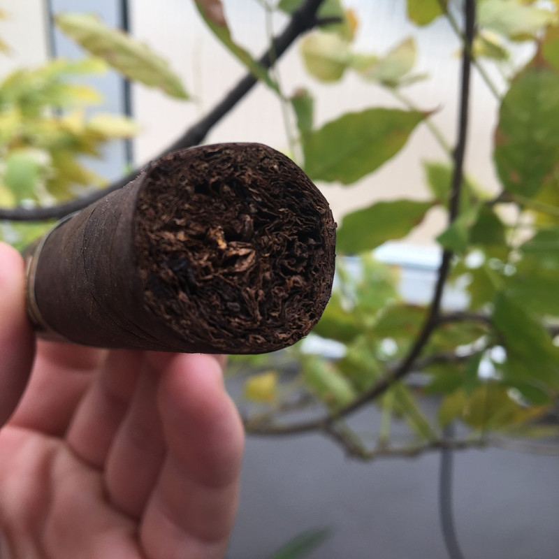 F052DAC8-DC53-4F6A-99BC-CDBC46EFE96B