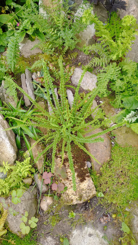 IMG 20250623 182832
