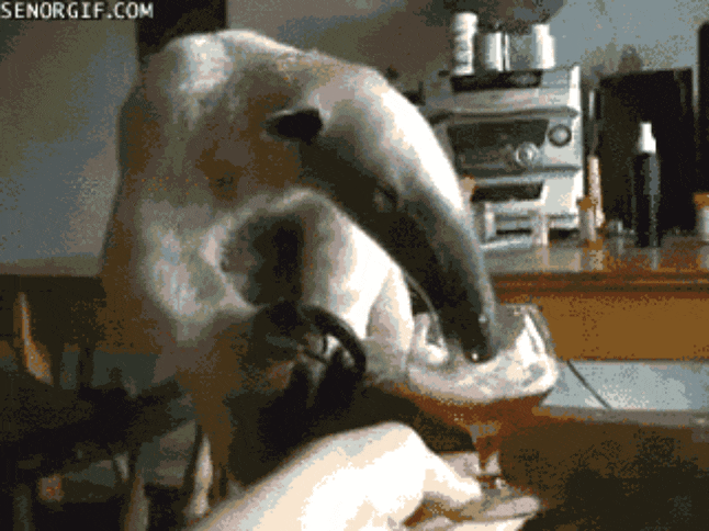 GIF-20250904-122807-600.gif