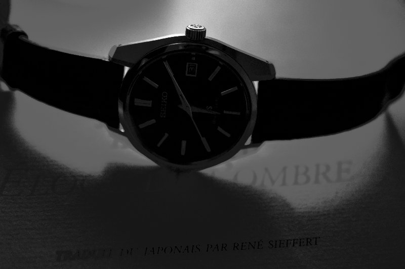 Vote 26ème concours : Seiko et la littérature DSC-0666