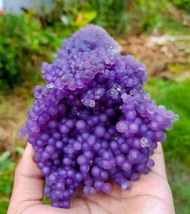 Amazing-38