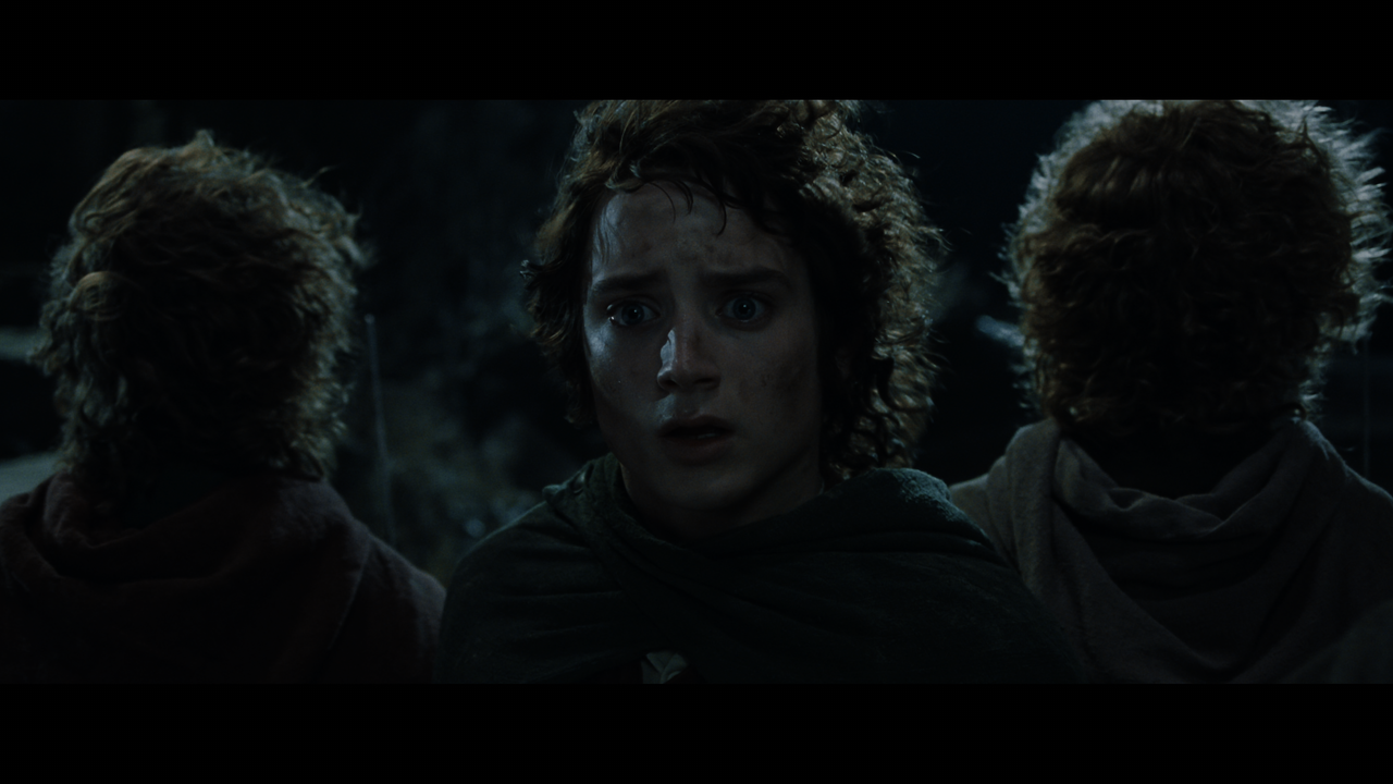 The Lord of the Rings- The Fellowship of the Ring (EXT.) PT. 1.mkv_snapshot_01.12.09_[2020.12.05_22.