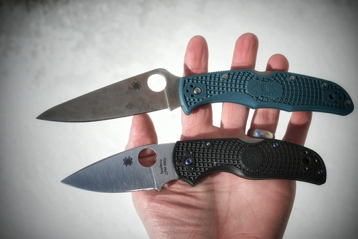 spydie-bf-frn.jpg
