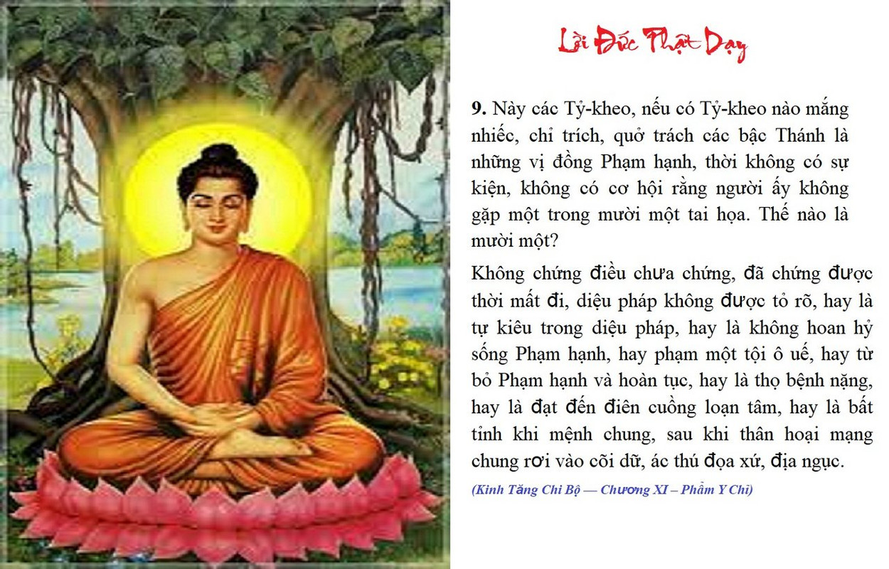 4 - LD của ĐỨC PHẬT - 10