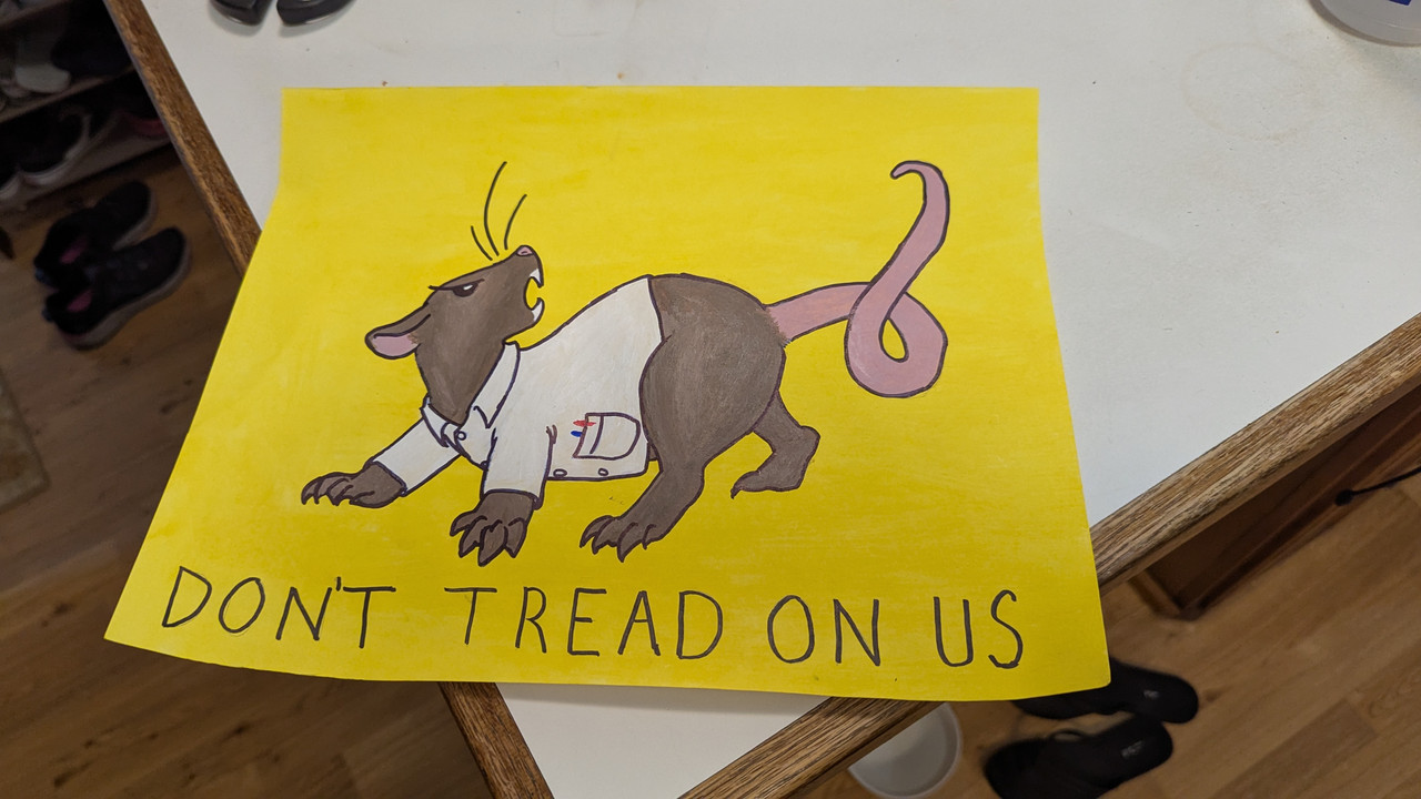 PXL_20250307_072742484.MP