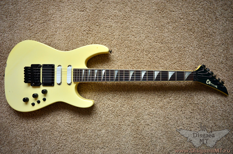 Charvel_Model_6_exch_001