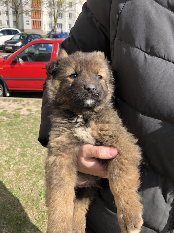 3631333F-903A-4CC9-B2BB-6046BF59CAB4