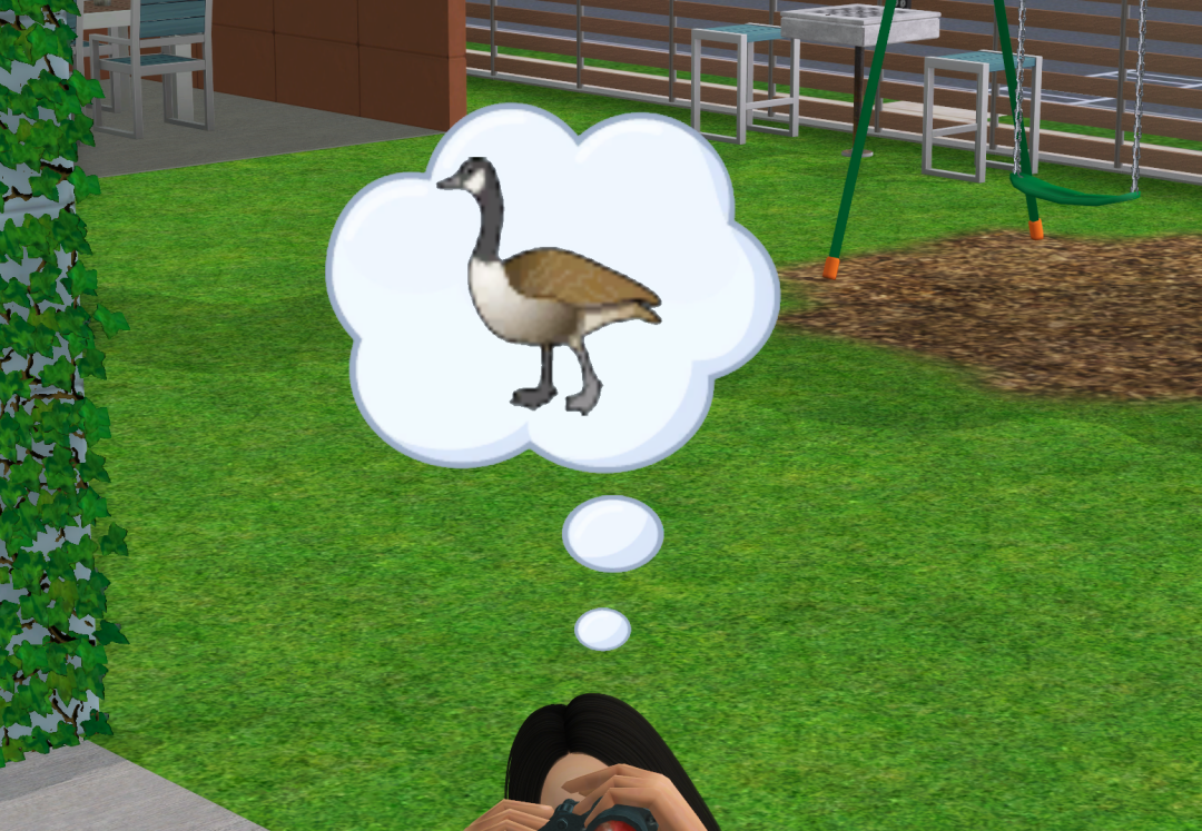 Sims2-EP9-RPC-2022-12-20-21-07-15-75