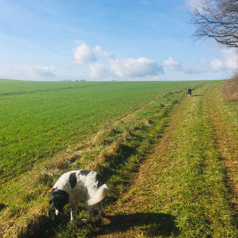 7B747107-1B3A-4B75-A555-8F6EE23A645A