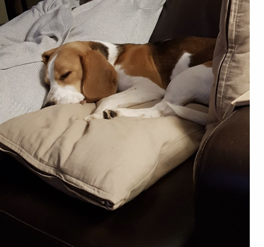 D63CD8A0-54DB-404B-91BB-2515C2B23895