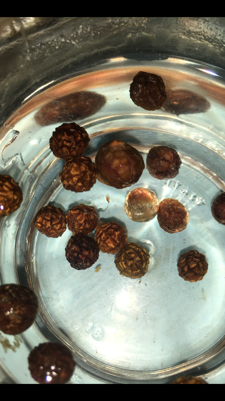 66D8071C-B616-42E7-9A3D-34AB119EE039