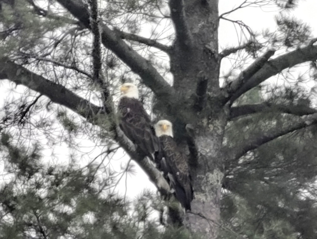 IMG_20220531_124419566_HDR~2
