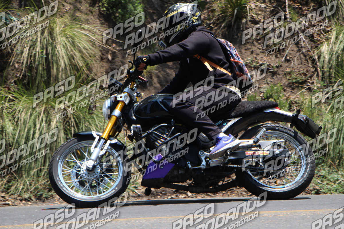 IMG 8133 wm 4720695 3 watermarked — Postimages
