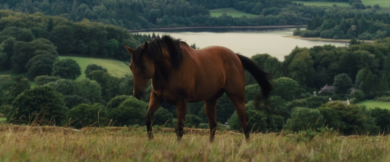 vlcsnap-2021-06-13-01h52m49s697