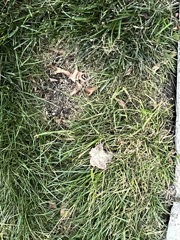 EB543566-877C-4ED9-803B-BE2A54D6D490